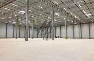 Büro zu mieten in 63505 Langenselbold, KEINE PROVISION ✓ NEUBAU ✓ Lager-/Logistik (6.500 m²) & Büro-/Sozial (300 m²)