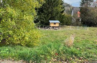 Grundstück zu kaufen in 38707 Altenau, Wunderschönes Baugrundstück in Toplage!