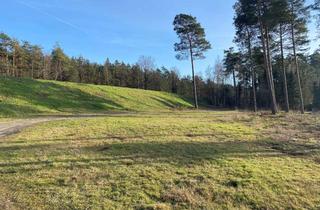 Grundstück zu kaufen in 38524 Sassenburg, Auch über Ostern für Sie da - Info & Beratung von Karfreitag bis Ostermontag, 13-17 Uhr