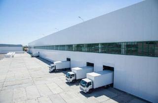 Gewerbeimmobilie mieten in 01906 Burkau, Logistik und Light Industrial!