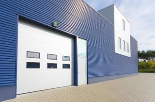 Gewerbeimmobilie kaufen in 67471 Elmstein, Gelegenheit: neue Gewerbehallen (ca. 950 qm) plus erfolgreicher Baumaschinenverleih, Südpfalz