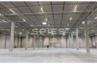 Gewerbeimmobilie mieten in 26180 Rastede, Bis zu 30.000 m²: Logistikzentrum an der A29 - teilbar