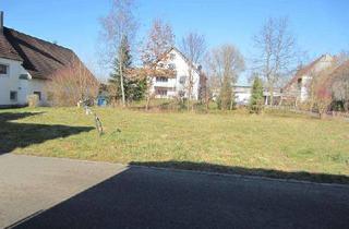 Grundstück zu kaufen in 86441 Zusmarshausen, Zusmarshausen schöner Bauplatz 500qm, voll erschlossen, für EFH oder DH