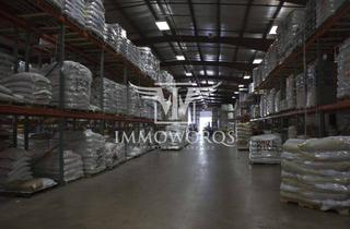 Gewerbeimmobilie mieten in 71706 Markgröningen, Bestandshalle **Produktions-/ Lager-/Logistikflächen** bis zu 40.000 m²-provisionsfreie Vermietung-