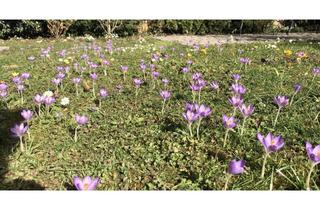 Grundstück zu kaufen in 85399 Hallbergmoos, Baugrundstück mit Westausrichtung und weitläufiger unverbaubarer Aussicht- nahe Ortszentrum!