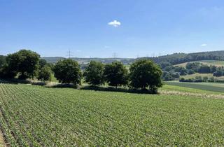 Grundstück zu kaufen in 74921 Helmstadt-Bargen, Einzigartige Liegenschaft in Baden Württemberg: Baugrundstück mit landwirtschaftlicher Fläche