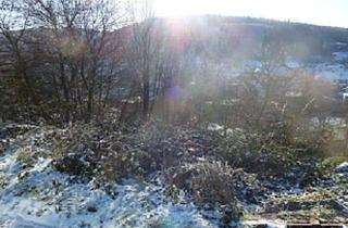 Grundstück zu kaufen in 63639 Flörsbachtal, Unbebautes Grundstück in Flörsbachtal-Kempfenbrunn