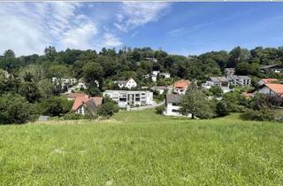Grundstück zu kaufen in 84028 Peter u. Paul, Top Lage, Top Preis, Top Aussicht!!!Herrliches Grundstück im Hagrainer Tal!!!