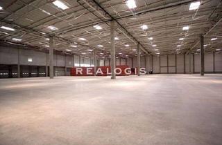 Gewerbeimmobilie mieten in 91601 Dombühl, Mehrere Logistikhallen mit 8.500 m² zu vermieten