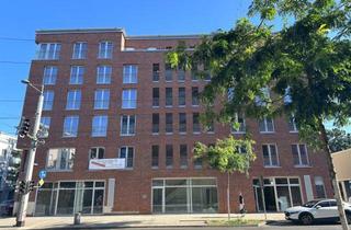 Wohnung kaufen in 01159 Dresden, Gemütliches 2- Zimmer- Apartment mit Terrasse und Garten