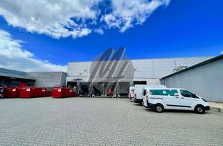 Büro zu mieten in 61191 Rosbach, SCHNELL VERFÜGBAR ✓ RAMPE + EBEN ✓ Kühllager (3.500 m²) & Büro-/Sozial (400 m²) zu vermieten