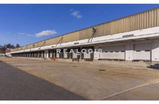 Gewerbeimmobilie mieten in 91126 Uigenau, verfügbare Kühllager- und Logistikflächen, ca. 5.000 m²