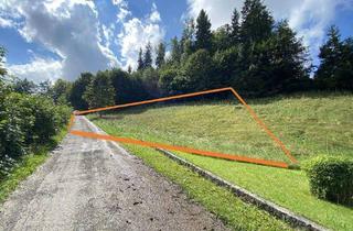 Grundstück zu kaufen in 83313 Siegsdorf, Baugrund, Hanglage mit Blick über Siegsdorf!