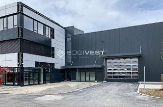 Gewerbeimmobilie mieten in 91171 Greding, Projektierter Neubau einer Lager- und Logistikhalle