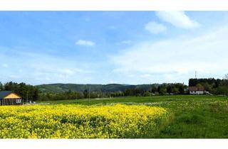 Grundstück zu kaufen in 07985 Elsterberg, PERFEKT FÜR IHR TRAUMHAUS! – RUHIGE NATURNAHE LAGE MIT AUSBLICK!