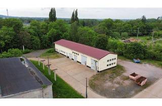 Gewerbeimmobilie mieten in 99885 Ohrdruf, Produktionshalle / Lager zu vermieten