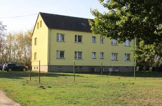 Wohnung mieten in Kirch Baggendorf 18, 18513 Gransebieth, 2 Raum Wohnung in Kirch Baggendorf