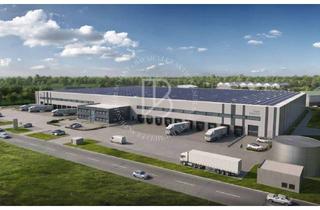 Gewerbeimmobilie mieten in 34576 Homberg, "BAUMÜLLER & CO." - ca. 23.000 m² - Neubau-Logistikzentrum - Rampe + ebenerdig!