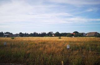 Grundstück zu kaufen in Haselweg, 01945 Senftenberg, Ruhige und sonnenverwöhnte Grundstücke in Peickwitz, nur 2 km zum Strand des Senftenberger Sees