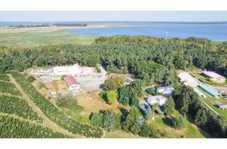 Grundstück zu kaufen in 18356 Fuhlendorf, Baugrundstück mit vielen Nutzungsmöglichkeiten