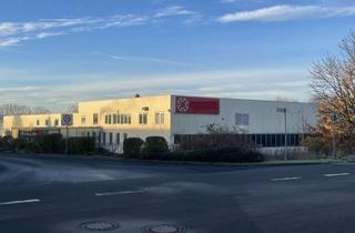 Büro zu mieten in Im Rübenkamp, 38162 Cremlingen, Lager-/Produktionshalle, Strom, WC, Büro möglich, A39