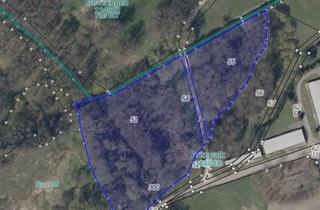 Grundstück zu kaufen in Zur Hainholzmühle, 16928 Pritzwalk, *AKTION, REDUZIERTER PREIS* Waldgrundstücke im Pritzwalker Naherholungsgebiet