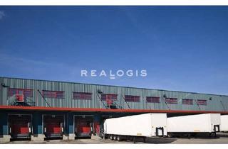 Gewerbeimmobilie mieten in 64572 Büttelborn, Ca. 7.000 qm Logistikhalle | Rampe + ebenerdig | ca. 6,50 m UKB