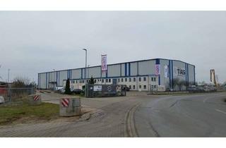 Gewerbeimmobilie mieten in Am Alten Werk 52, 21406 Melbeck, Hallenfläche für SIE?