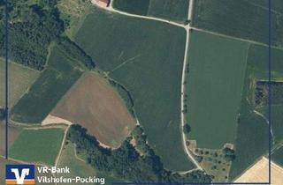 Gewerbeimmobilie kaufen in 94086 Bad Griesbach, Gelegenheit nutzen! Landwirtschaftliches Grundstück nähe Bad Griesbach
