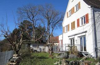 Einfamilienhaus kaufen in 74831 Gundelsheim, Freistehendes Einfamilienhaus mit Panoramablick über die Stadt, Neckar und Schloss