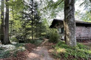 Grundstück zu kaufen in 85630 Grasbrunn, Bieterverfahren: Freizeit-Waldgrundstück mit uriger Blockhütte