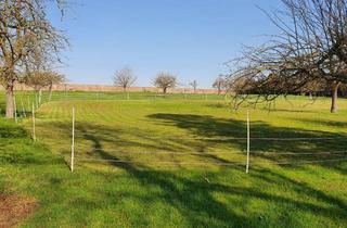 Grundstück zu kaufen in Kirchberg, 53894 Mechernich, Landwirtschaftsfläche / Streuobstwiese