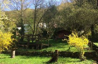 Grundstück zu kaufen in 65817 Eppstein, Großes Grundstück mit Altbestand in Eppstein