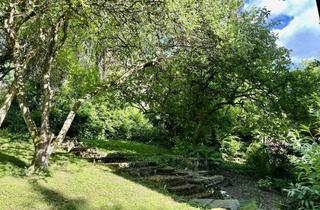 Grundstück zu kaufen in 65817 Eppstein, Großes Grundstück mit Altbestand in Eppstein