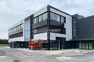 Büro zu mieten in 38112 Veltenhof-Rühme, Projektierter Neubau - Lager-/Produktions- und Büroflächen nach Ihren Wünschen
