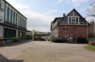 Gewerbeimmobilie kaufen in 67722 Winnweiler, Ehemalige Brauerei mit Verwaltungsgebäude, Lager- und Produktionsflächen