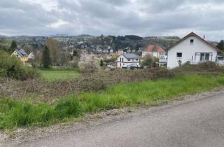 Grundstück zu kaufen in 66869 Kusel, Schön gelegener Bauplatz mit toller Fernsicht