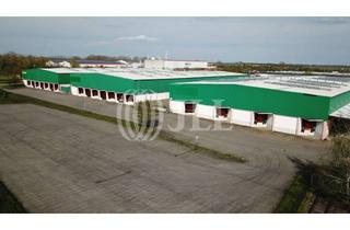 Gewerbeimmobilie mieten in 39387 Oschersleben (Bode), Logistikflächen zur sofortigen Miete - 14.000 m² mit 18 Rampen