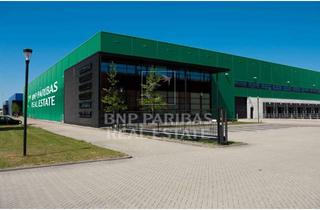 Gewerbeimmobilie mieten in 76461 Muggensturm, BESTANDSHALLE MIT BÜROANTEIL AN DER A5