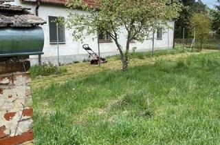 Bauernhaus kaufen in 15299 Müllrose, Ehemaliger Bauernhof mit Nebengelass im Naturparadies!