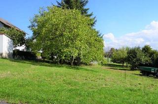 Grundstück zu kaufen in 36103 Flieden, Großes Grundstück in ruhiger, verkehrsgünstiger Lage im Grünen