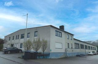 Büro zu mieten in Wilhelm-Rademacher-Straße, 97906 Faulbach, Auch Teilflächen: Lager, Büro, Sozialräume, Außenfläche