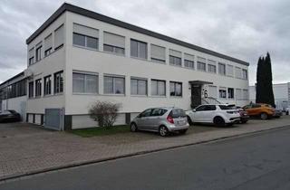 Büro zu mieten in 63128 Dietzenbach, 160 m² Lager-/Produktionsfläche + 130 m² Bürofläche in Dietzenbach zu vermieten