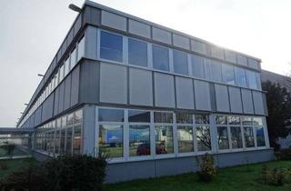 Büro zu mieten in 63150 Heusenstamm, 181 m² Bürofläche in Heusenstamm "Provisionsfrei" zu vermieten