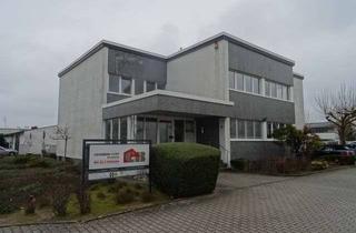 Büro zu mieten in 63128 Dietzenbach, "235 m² Büroetage" in Dietzenbach-Steinberg zu vermieten