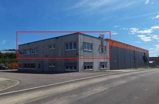 Büro zu mieten in 78609 Tuningen, Vielseitig nutzbare Bürofläche - Option auf zusätzliche Hallenfläche und Freifläche