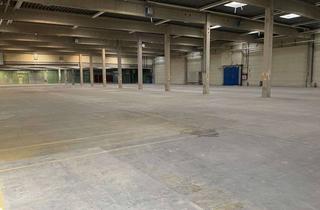 Gewerbeimmobilie mieten in Schneidhausen o.Nr., 52372 Kreuzau, Lagerhalle, Lagerraum in Kreuzau bei Düren
