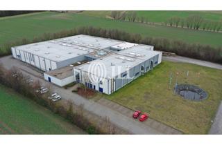 Gewerbeimmobilie mieten in 38835 Osterwieck, Moderne Hallenflächen für Produktion/Lager