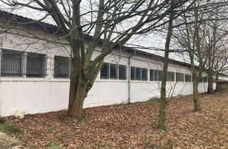 Gewerbeimmobilie mieten in 15745 Wildau, Gewerbehalle in zentraler Lage von Wildau zu vermieten