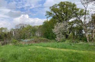 Grundstück zu kaufen in Südstraße, 04838 Eilenburg, EB- Wedelwitz, Baugrundstück am Waldrand mit genehmigter Bauvoranfrage